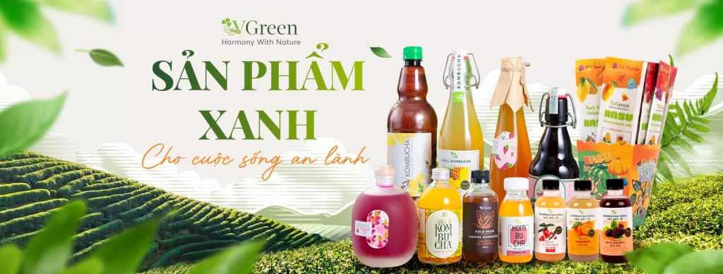 (VGreen Kombucha Products)